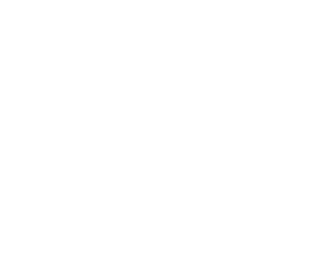 Project screen